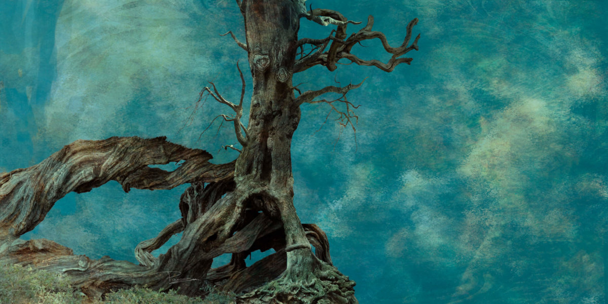 Bosque Viejo de J.R.R. Tolkien Antonio Painn Comunicación