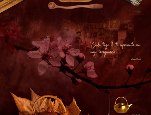 Tienda de Tés Online | Leaves Cha Shop